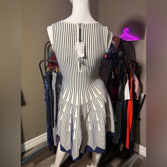 Milly Striped Flare Dress - Size S - Picture 9 of 11